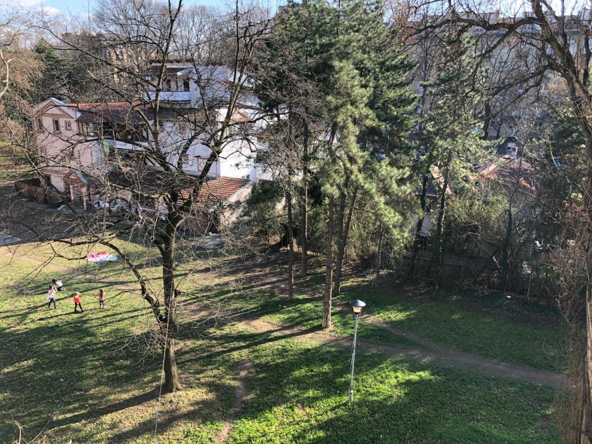 Modern Studio  Belgrad Exteriör bild